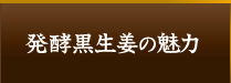 発酵黒生姜の魅力